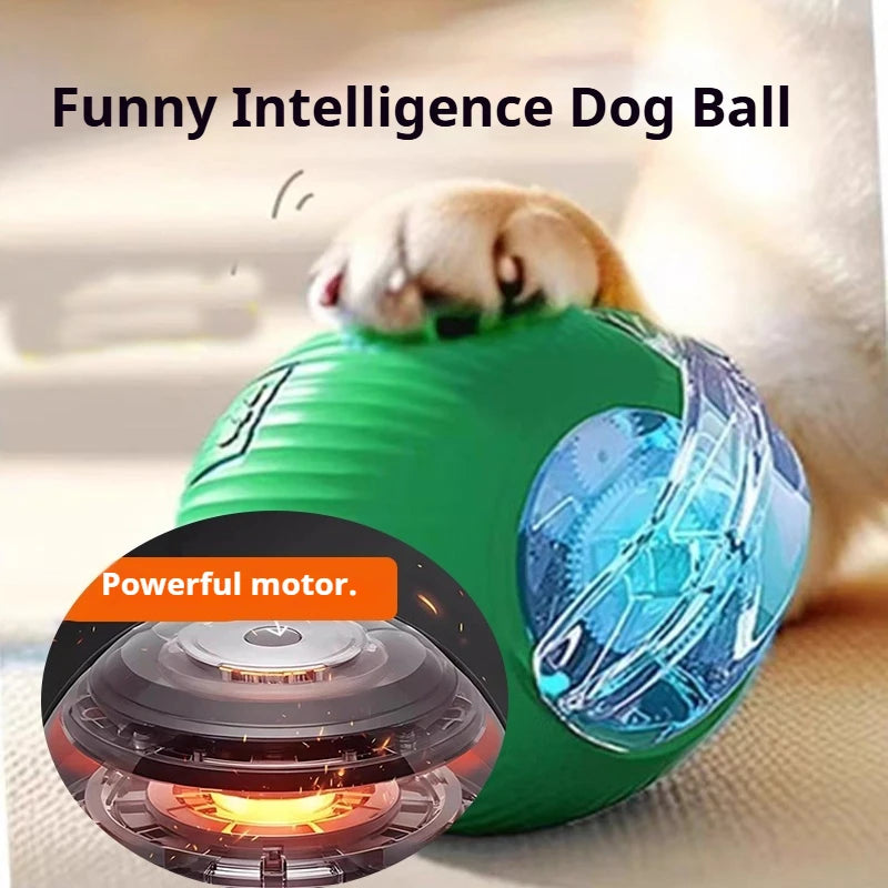 Interactive Electric Ball Toy for Dogs and Cats – Automatic Rolling Pet Toy