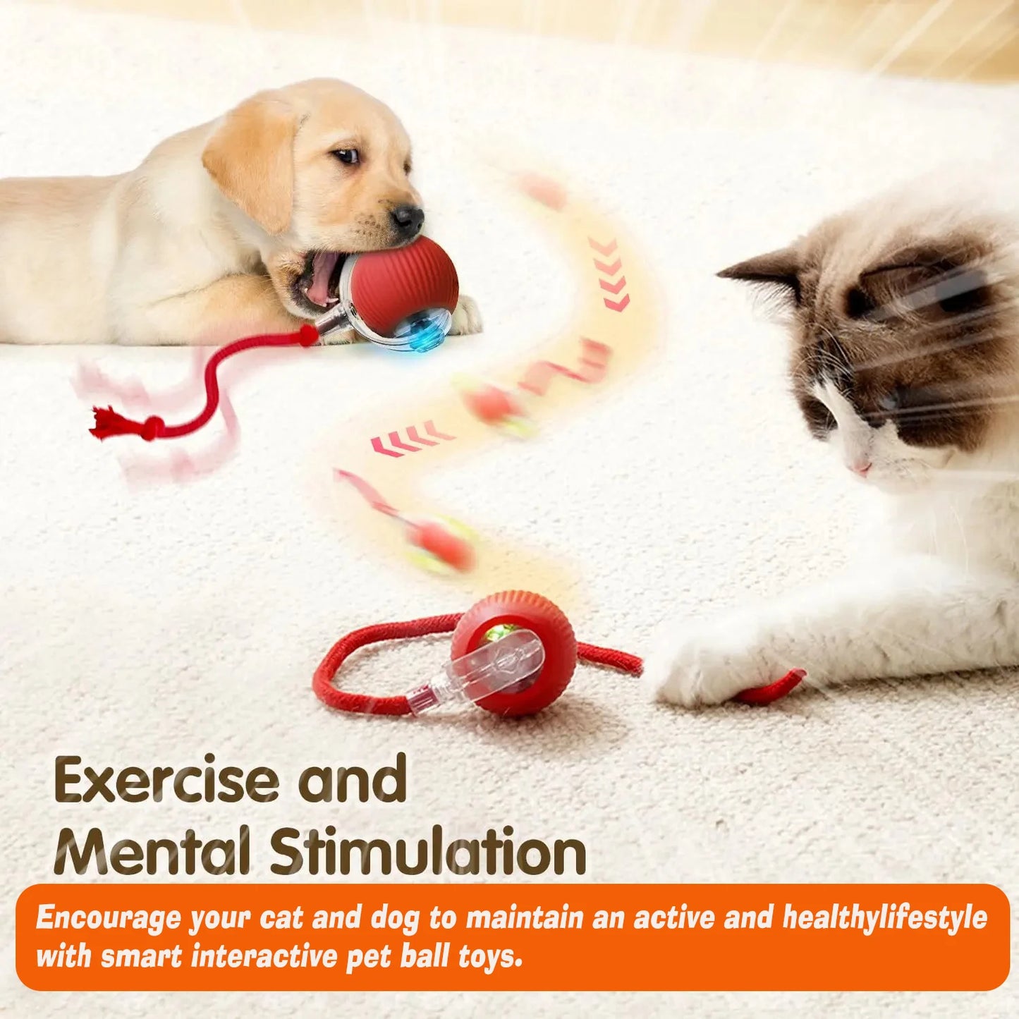 Interactive Electric Ball Toy for Dogs and Cats – Automatic Rolling Pet Toy