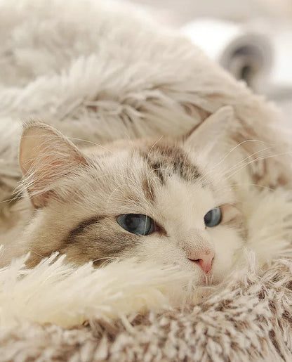 Autumn & Winter Plush Pet Bed – Warm Semi-Enclosed small dog/Cat Nest with Soft Comforter Design