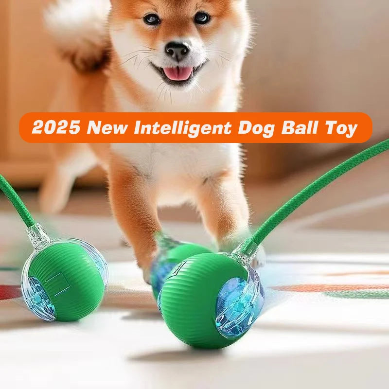 Interactive Electric Ball Toy for Dogs and Cats – Automatic Rolling Pet Toy
