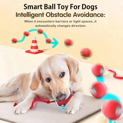Interactive Electric Ball Toy for Dogs and Cats – Automatic Rolling Pet Toy