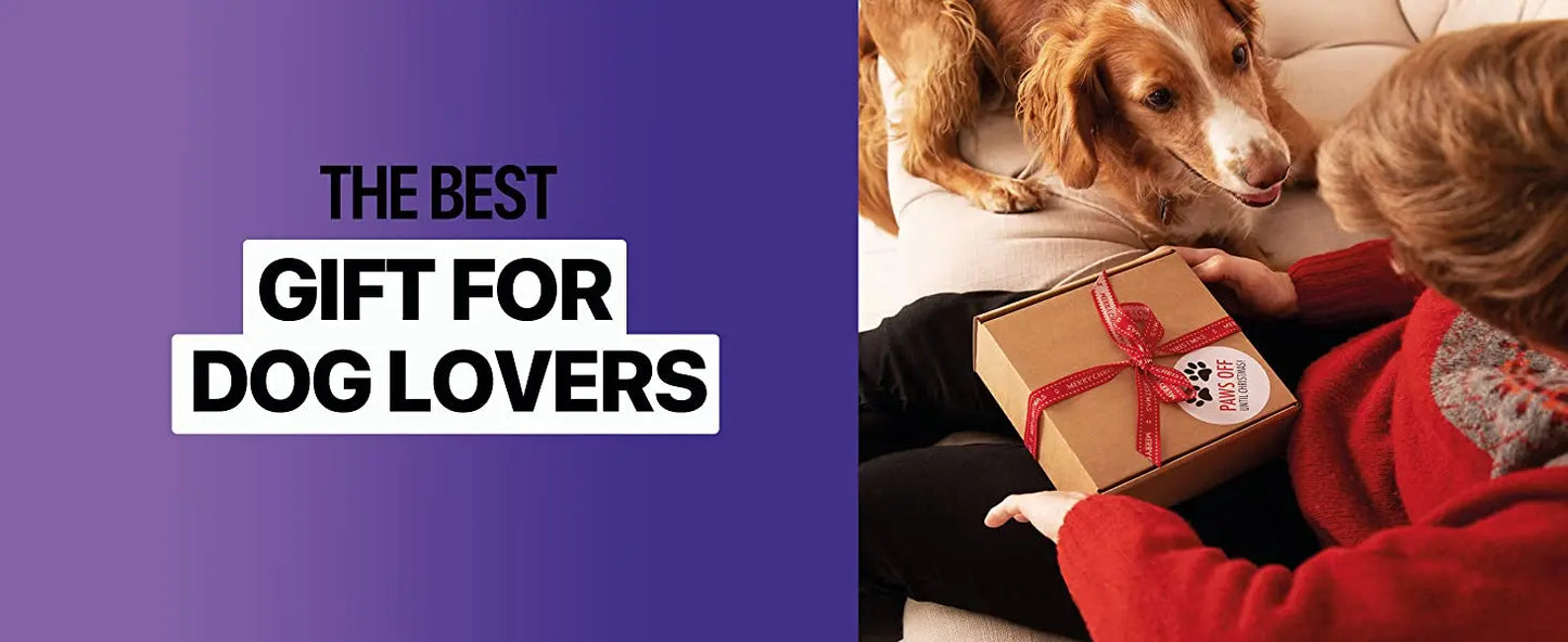 Ultrasonic Bark Control Device for Dogs & Cats – Painless & Silent Sound Technology